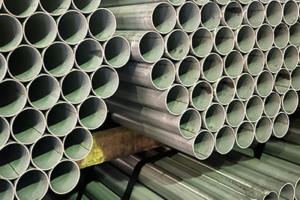 IMG 7499 custom crop